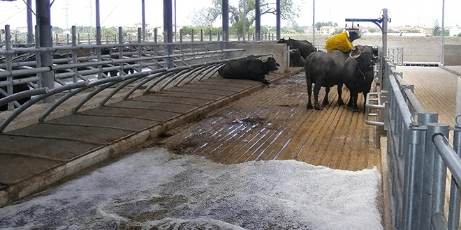 Вакуумные системы, рециркуляция и промыв