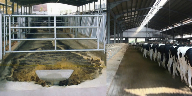 Клапаны POP/OFF и мойка кормовых дорожек