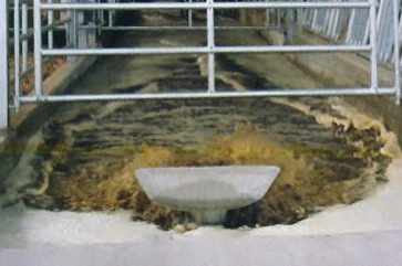 Клапан POP/OFF для слива жидкого навоза