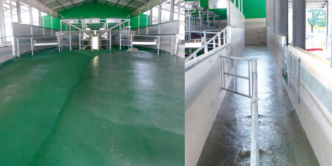 Система программируемой промывки