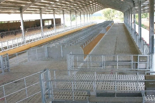 Стойла с решетчатыми полами и циркуляционной промывкой