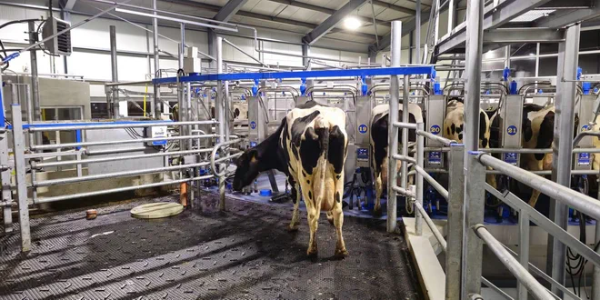 Покрытие Chevron 8