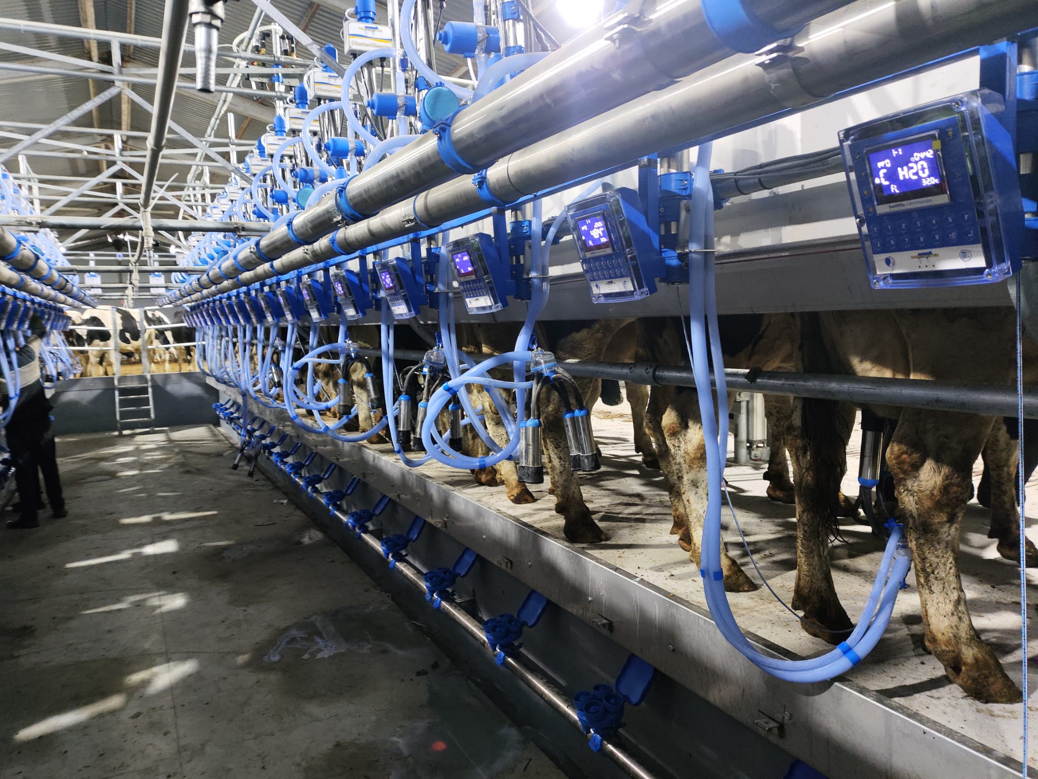 Параллель 2x24, Аксут