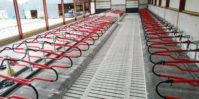 Гибкое стойло Dream