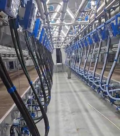 Параллель 2x24, Dinara-Ranch