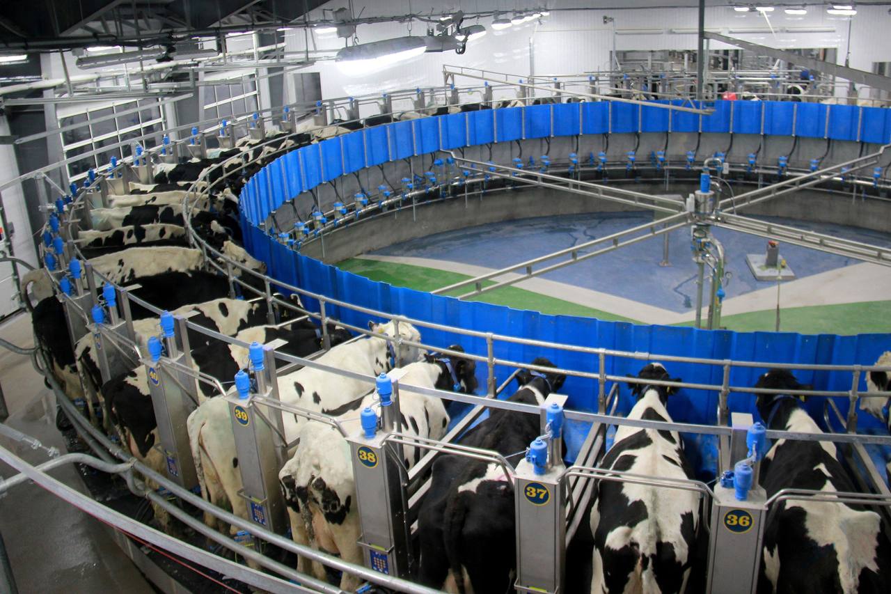 Карусель на 60 мест, Зеленая долина