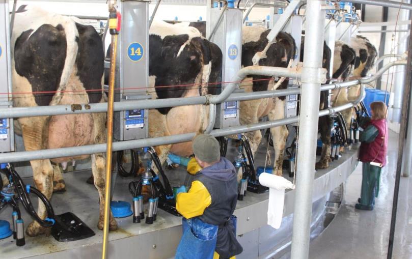 Карусель на 50 мест, Красноозерное