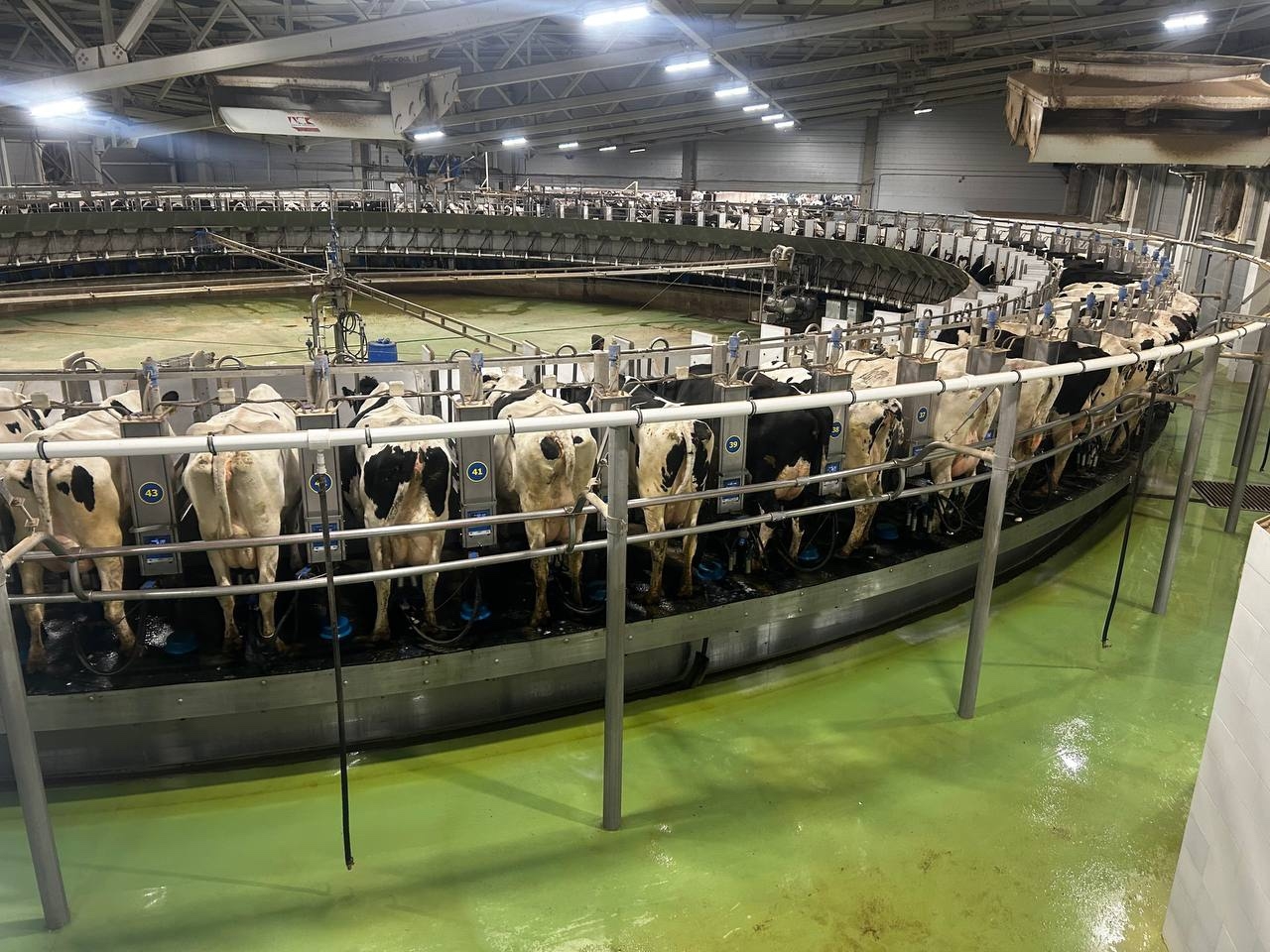 Карусель на 100 мест, Красный маяк