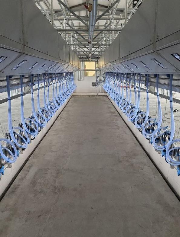 Параллель 2x24, МТК Липки