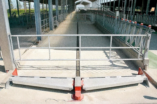 Скреперы для коровников