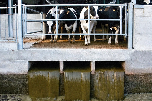 Вакуумные системы, рециркуляция и промыв